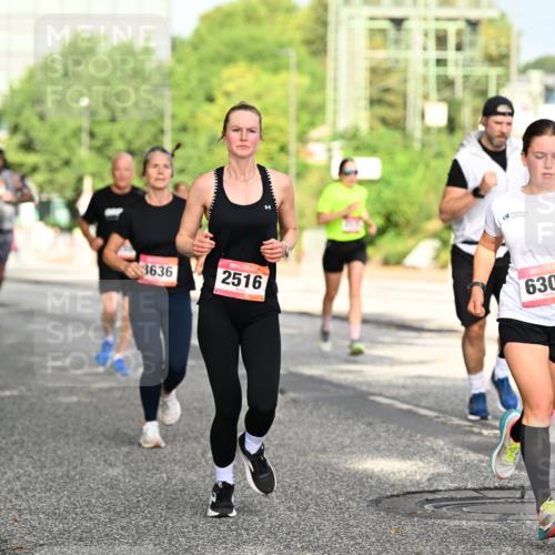 06.09.2026 - CURREX Alsterlauf Dr. Thomas Lammeyer http://msf.ph/oto/10130410 06.09.2026 09:52:46 Laufen 3636, 2516, 6301 meine-sportfotos.de
