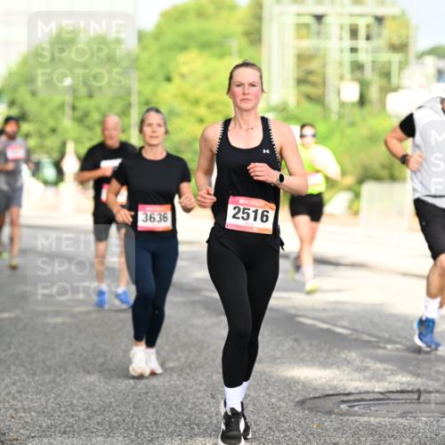 06.09.2026 - CURREX Alsterlauf Dr. Thomas Lammeyer http://msf.ph/oto/10130413 06.09.2026 09:52:46 Laufen 3636, 2516, 6301 meine-sportfotos.de