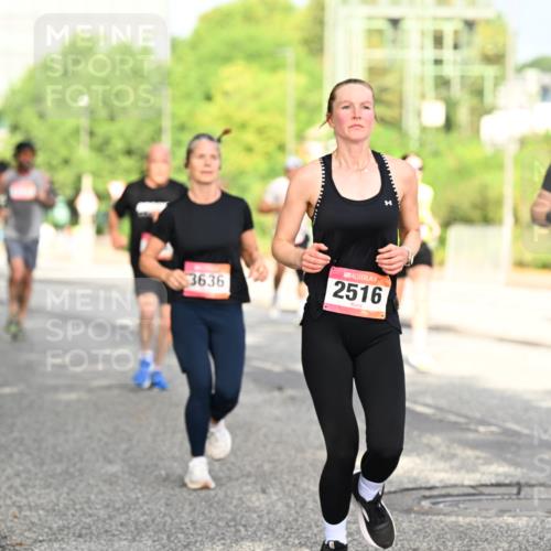 06.09.2026 - CURREX Alsterlauf Dr. Thomas Lammeyer http://msf.ph/oto/10130416 06.09.2026 09:52:46 Laufen 3636, 2516 meine-sportfotos.de