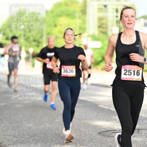 06.09.2026 - CURREX Alsterlauf Dr. Thomas Lammeyer http://msf.ph/oto/10130420 06.09.2026 09:52:47 Laufen 11, 3636, 2516 meine-sportfotos.de