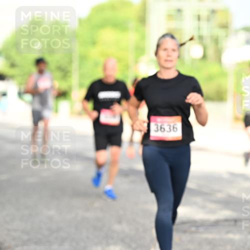 06.09.2026 - CURREX Alsterlauf Dr. Thomas Lammeyer http://msf.ph/oto/10130427 06.09.2026 09:52:47 Laufen 3636 meine-sportfotos.de