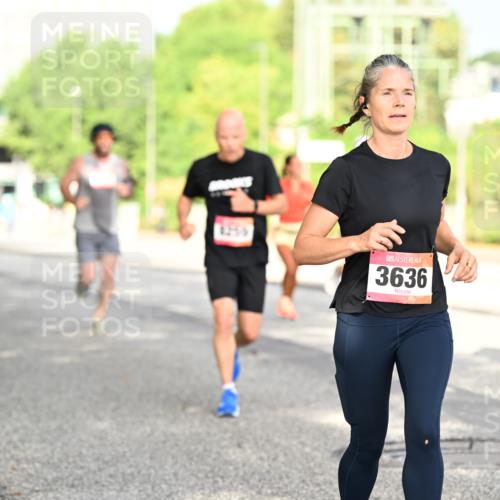 06.09.2026 - CURREX Alsterlauf Dr. Thomas Lammeyer http://msf.ph/oto/10130430 06.09.2026 09:52:48 Laufen 11, 11, 8259, 3636 meine-sportfotos.de