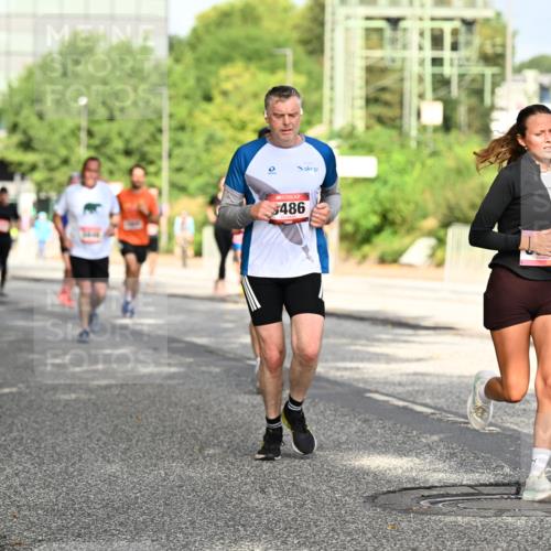 06.09.2026 - CURREX Alsterlauf Dr. Thomas Lammeyer http://msf.ph/oto/10130519 06.09.2026 09:52:59 Laufen 486, 5095 meine-sportfotos.de