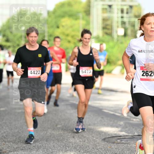 06.09.2026 - CURREX Alsterlauf Dr. Thomas Lammeyer http://msf.ph/oto/10130617 06.09.2026 09:53:09 Laufen 11, 11, 2806, 4422, 5473, 2620 meine-sportfotos.de