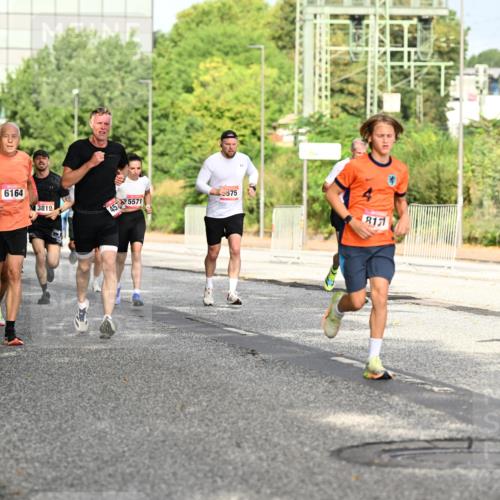 06.09.2026 - CURREX Alsterlauf Dr. Thomas Lammeyer http://msf.ph/oto/10130702 06.09.2026 09:53:18 Laufen 5313, 312, 6164, 3819, 4575571, 575, 8171, 5412 meine-sportfotos.de