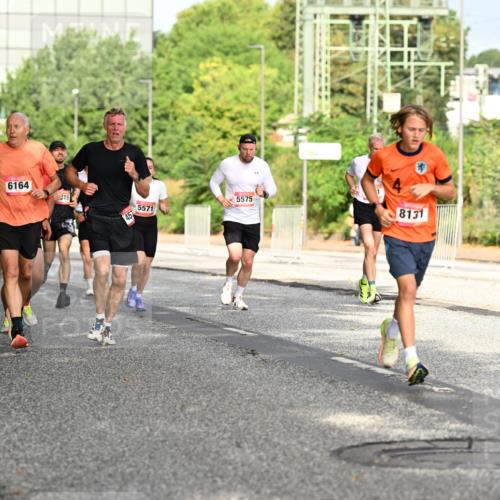 06.09.2026 - CURREX Alsterlauf Dr. Thomas Lammeyer http://msf.ph/oto/10130706 06.09.2026 09:53:18 Laufen 5313, 3312, 6164, 19, 5575, 5412, 5571, 8131 meine-sportfotos.de