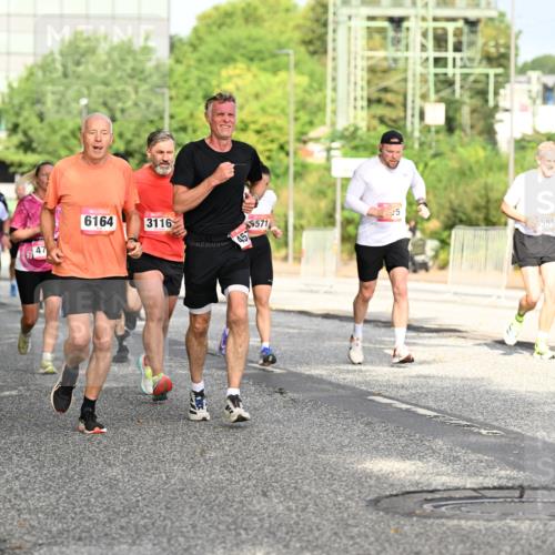 06.09.2026 - CURREX Alsterlauf Dr. Thomas Lammeyer http://msf.ph/oto/10130719 06.09.2026 09:53:19 Laufen 3312, 6164, 3116, 571, 457, 5591, 8 meine-sportfotos.de