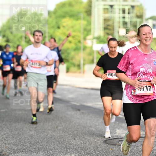 06.09.2026 - CURREX Alsterlauf Dr. Thomas Lammeyer http://msf.ph/oto/10130761 06.09.2026 09:53:23 Laufen 3319, 604, 717 meine-sportfotos.de