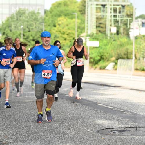 06.09.2026 - CURREX Alsterlauf Dr. Thomas Lammeyer http://msf.ph/oto/10130846 06.09.2026 09:53:31 Laufen 055, 06, 4014, 3519 meine-sportfotos.de