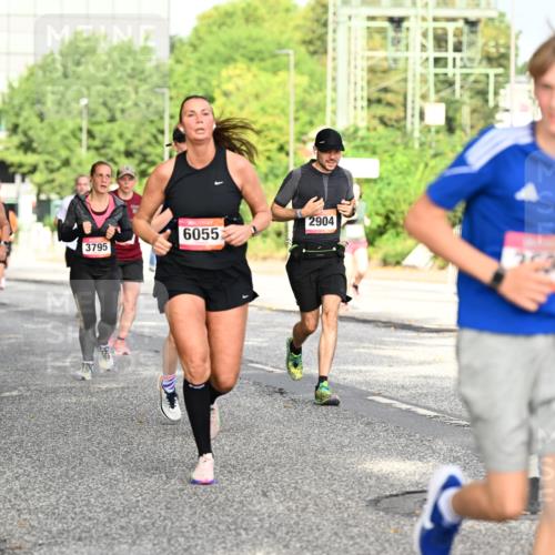 06.09.2026 - CURREX Alsterlauf Dr. Thomas Lammeyer http://msf.ph/oto/10130874 06.09.2026 09:53:34 Laufen 4740, 3795, 6055, 2904 meine-sportfotos.de