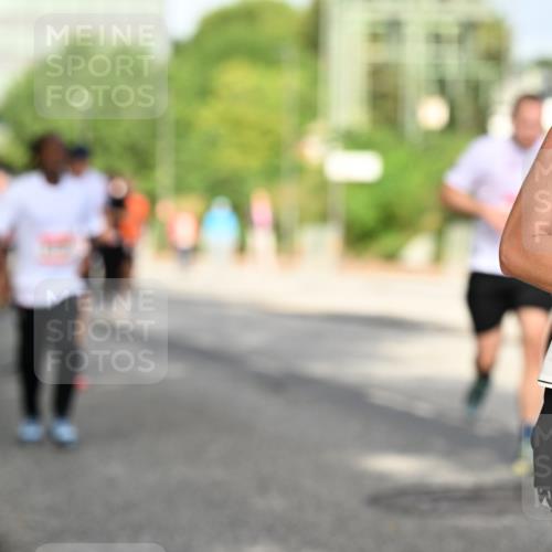 06.09.2026 - CURREX Alsterlauf Dr. Thomas Lammeyer http://msf.ph/oto/10130923 06.09.2026 09:53:40 Laufen  meine-sportfotos.de