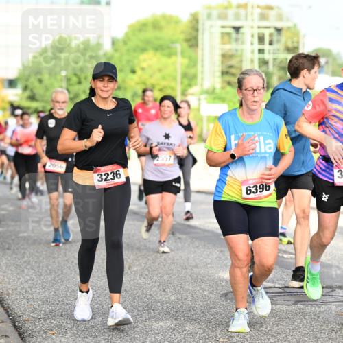 06.09.2026 - CURREX Alsterlauf Dr. Thomas Lammeyer http://msf.ph/oto/10130976 06.09.2026 09:53:48 Laufen 3775, 2056, 3236, 2557, 6396, 3505, 48 meine-sportfotos.de