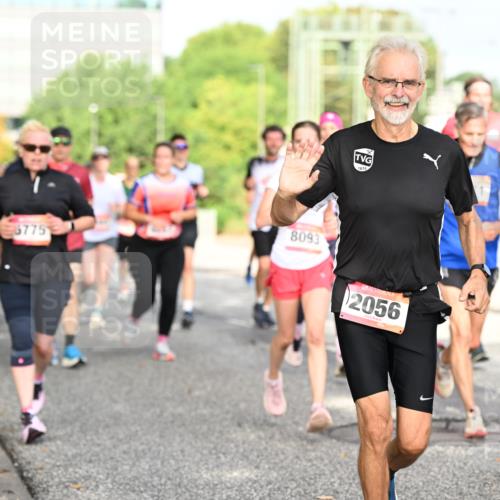 06.09.2026 - CURREX Alsterlauf Dr. Thomas Lammeyer http://msf.ph/oto/10131006 06.09.2026 09:53:51 Laufen 5775, 8093, 1870, 2056 meine-sportfotos.de