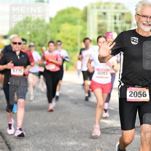 06.09.2026 - CURREX Alsterlauf Dr. Thomas Lammeyer http://msf.ph/oto/10131009 06.09.2026 09:53:51 Laufen 5775, 8093, 2056 meine-sportfotos.de