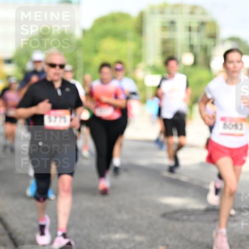06.09.2026 - CURREX Alsterlauf Dr. Thomas Lammeyer http://msf.ph/oto/10131017 06.09.2026 09:53:52 Laufen  meine-sportfotos.de