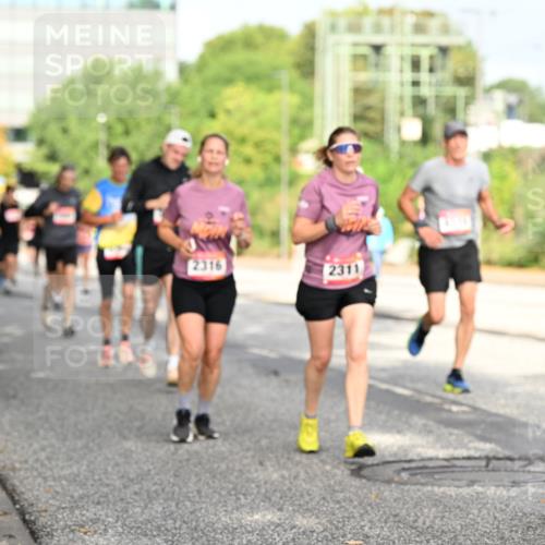 06.09.2026 - CURREX Alsterlauf Dr. Thomas Lammeyer http://msf.ph/oto/10131064 06.09.2026 09:53:56 Laufen 5, 2316, 2311 meine-sportfotos.de