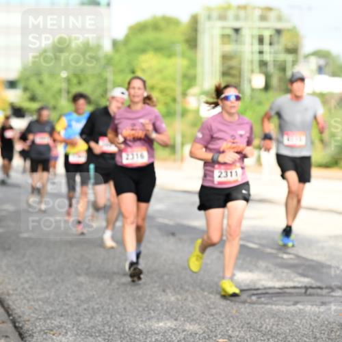 06.09.2026 - CURREX Alsterlauf Dr. Thomas Lammeyer http://msf.ph/oto/10131065 06.09.2026 09:53:56 Laufen 2316, 2311 meine-sportfotos.de