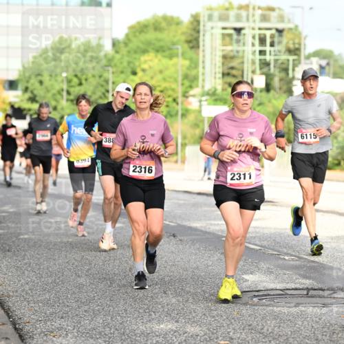 06.09.2026 - CURREX Alsterlauf Dr. Thomas Lammeyer http://msf.ph/oto/10131067 06.09.2026 09:53:56 Laufen 2, 966, 388, 0394, 2316, 2311, 6115 meine-sportfotos.de
