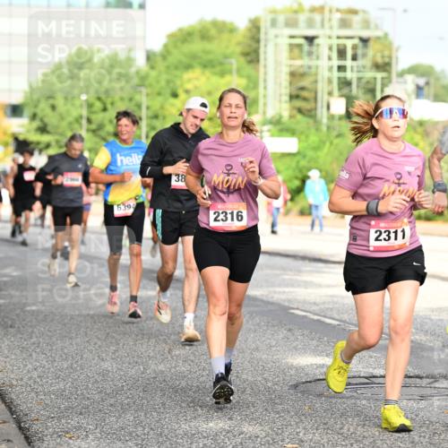 06.09.2026 - CURREX Alsterlauf Dr. Thomas Lammeyer http://msf.ph/oto/10131068 06.09.2026 09:53:57 Laufen 6394, 38, 2316, 2311, 6115 meine-sportfotos.de