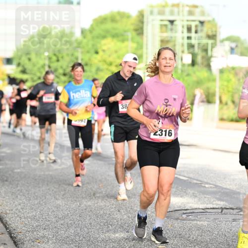 06.09.2026 - CURREX Alsterlauf Dr. Thomas Lammeyer http://msf.ph/oto/10131074 06.09.2026 09:53:57 Laufen 9394, 38, 2316, 2311 meine-sportfotos.de