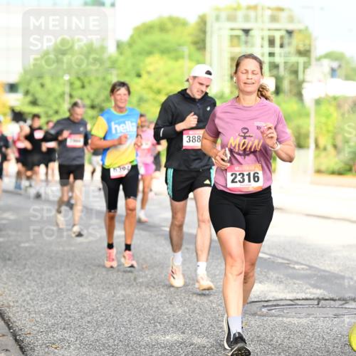 06.09.2026 - CURREX Alsterlauf Dr. Thomas Lammeyer http://msf.ph/oto/10131076 06.09.2026 09:53:57 Laufen 5394, 388, 2316, 2311 meine-sportfotos.de