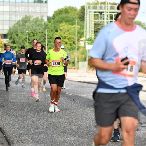06.09.2026 - CURREX Alsterlauf Dr. Thomas Lammeyer http://msf.ph/oto/10131190 06.09.2026 09:54:13 Laufen 287, 2950, 6239 meine-sportfotos.de