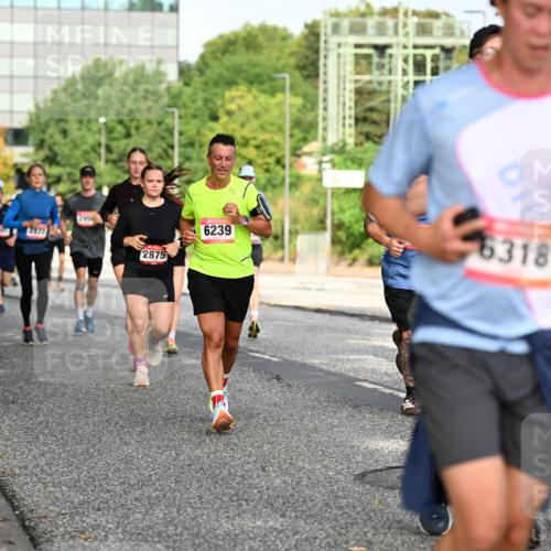 06.09.2026 - CURREX Alsterlauf Dr. Thomas Lammeyer http://msf.ph/oto/10131191 06.09.2026 09:54:13 Laufen 1413, 2877, 2956, 2875, 6239, 6318 meine-sportfotos.de