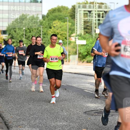 06.09.2026 - CURREX Alsterlauf Dr. Thomas Lammeyer http://msf.ph/oto/10131192 06.09.2026 09:54:13 Laufen 2950, 2875, 6239, 6318 meine-sportfotos.de