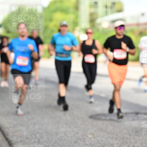 06.09.2026 - CURREX Alsterlauf Dr. Thomas Lammeyer http://msf.ph/oto/10131619 06.09.2026 09:55:05 Laufen  meine-sportfotos.de