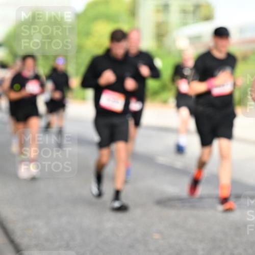 06.09.2026 - CURREX Alsterlauf Dr. Thomas Lammeyer http://msf.ph/oto/10131645 06.09.2026 09:55:07 Laufen  meine-sportfotos.de
