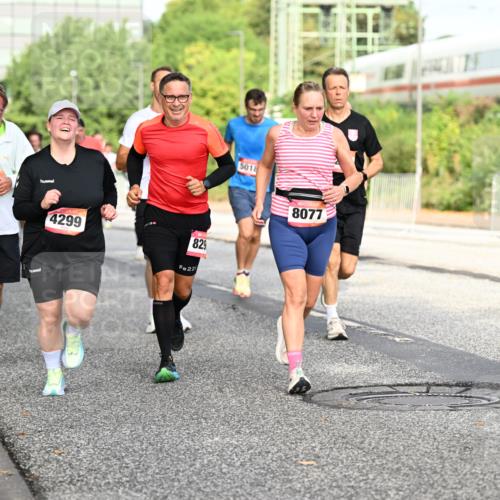 06.09.2026 - CURREX Alsterlauf Dr. Thomas Lammeyer http://msf.ph/oto/10131702 06.09.2026 09:55:13 Laufen 331, 4299, 22, 829, 5018, 8077, 3261 meine-sportfotos.de