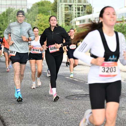06.09.2026 - CURREX Alsterlauf Dr. Thomas Lammeyer http://msf.ph/oto/10131964 06.09.2026 09:55:44 Laufen 6083, 6144, 608, 4751, 3203, 5263 meine-sportfotos.de