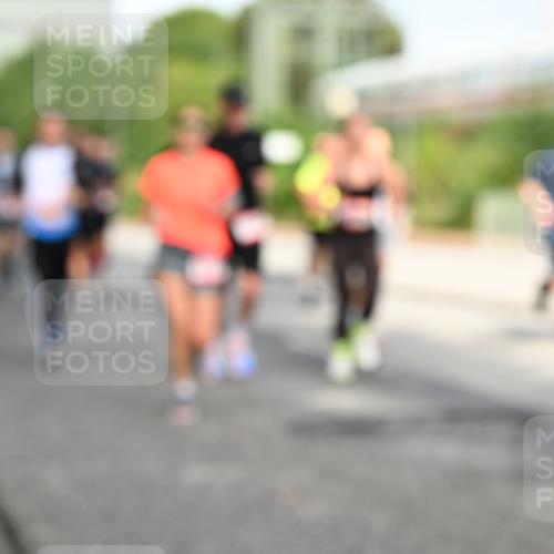 06.09.2026 - CURREX Alsterlauf Dr. Thomas Lammeyer http://msf.ph/oto/10131986 06.09.2026 09:55:47 Laufen  meine-sportfotos.de