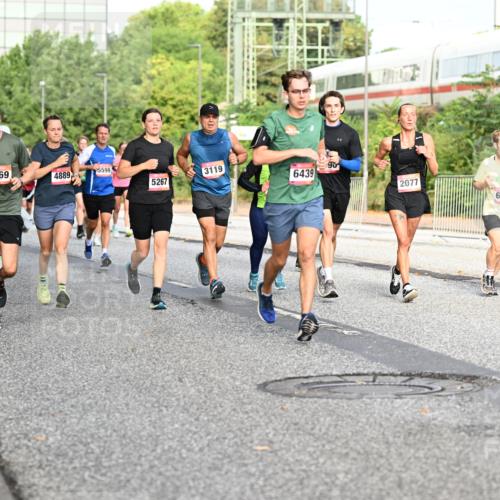 06.09.2026 - CURREX Alsterlauf Dr. Thomas Lammeyer http://msf.ph/oto/10132248 06.09.2026 09:56:14 Laufen 3414, 3969, 5599, 4889, 3119, 5267, 6439, 90, 2077, 6244 meine-sportfotos.de