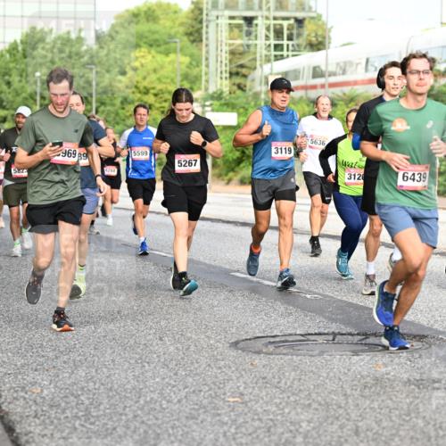 06.09.2026 - CURREX Alsterlauf Dr. Thomas Lammeyer http://msf.ph/oto/10132259 06.09.2026 09:56:15 Laufen 5636, 3119, 969, 89, 5599, 2077, 3414, 5267, 3120, 6439, 5268, 3801, 5823 meine-sportfotos.de