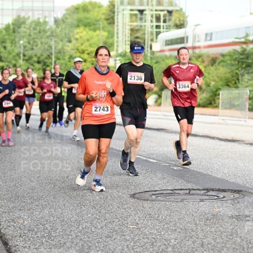 06.09.2026 - CURREX Alsterlauf Dr. Thomas Lammeyer http://msf.ph/oto/10132338 06.09.2026 09:56:23 Laufen 294, 2743, 2136, 3364 meine-sportfotos.de