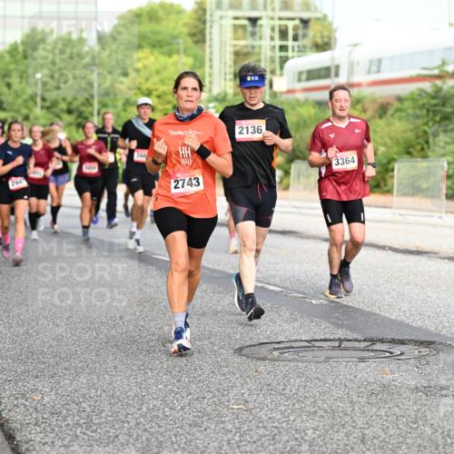 06.09.2026 - CURREX Alsterlauf Dr. Thomas Lammeyer http://msf.ph/oto/10132340 06.09.2026 09:56:23 Laufen 600, 294, 266, 2743, 2136, 3364 meine-sportfotos.de