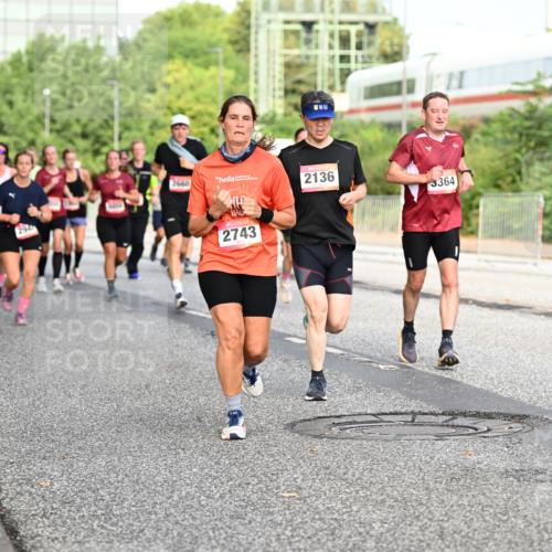 06.09.2026 - CURREX Alsterlauf Dr. Thomas Lammeyer http://msf.ph/oto/10132341 06.09.2026 09:56:23 Laufen 294, 2660, 2136, 3364, 2743 meine-sportfotos.de