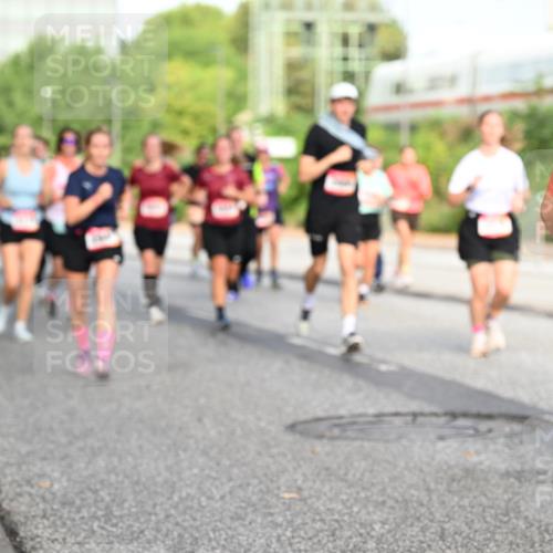 06.09.2026 - CURREX Alsterlauf Dr. Thomas Lammeyer http://msf.ph/oto/10132362 06.09.2026 09:56:25 Laufen 30, 2743 meine-sportfotos.de