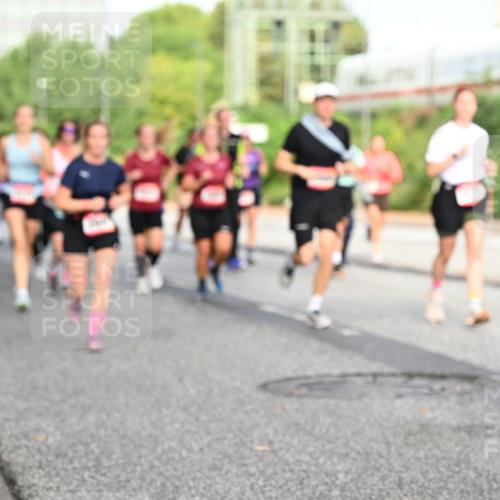 06.09.2026 - CURREX Alsterlauf Dr. Thomas Lammeyer http://msf.ph/oto/10132364 06.09.2026 09:56:25 Laufen 30, 2 meine-sportfotos.de