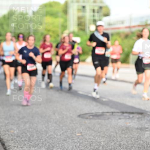 06.09.2026 - CURREX Alsterlauf Dr. Thomas Lammeyer http://msf.ph/oto/10132365 06.09.2026 09:56:25 Laufen  meine-sportfotos.de