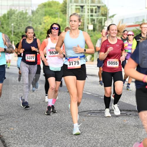 06.09.2026 - CURREX Alsterlauf Dr. Thomas Lammeyer http://msf.ph/oto/10132395 06.09.2026 09:56:28 Laufen 212, 5377, 5536, 3179, 5055, 294 meine-sportfotos.de