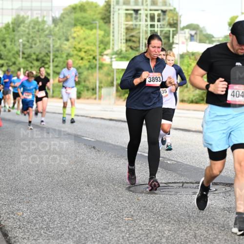 06.09.2026 - CURREX Alsterlauf Dr. Thomas Lammeyer http://msf.ph/oto/10132434 06.09.2026 09:56:32 Laufen 5487, 3893, 35, 4042, 44 meine-sportfotos.de
