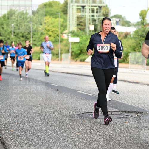 06.09.2026 - CURREX Alsterlauf Dr. Thomas Lammeyer http://msf.ph/oto/10132438 06.09.2026 09:56:33 Laufen 3893, 4042 meine-sportfotos.de