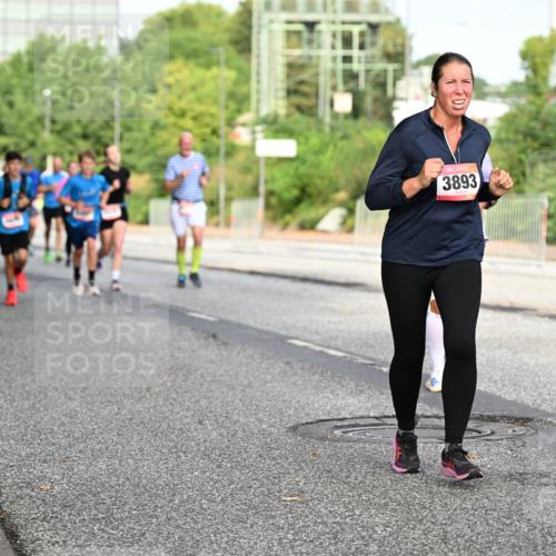 06.09.2026 - CURREX Alsterlauf Dr. Thomas Lammeyer http://msf.ph/oto/10132441 06.09.2026 09:56:33 Laufen 3893 meine-sportfotos.de