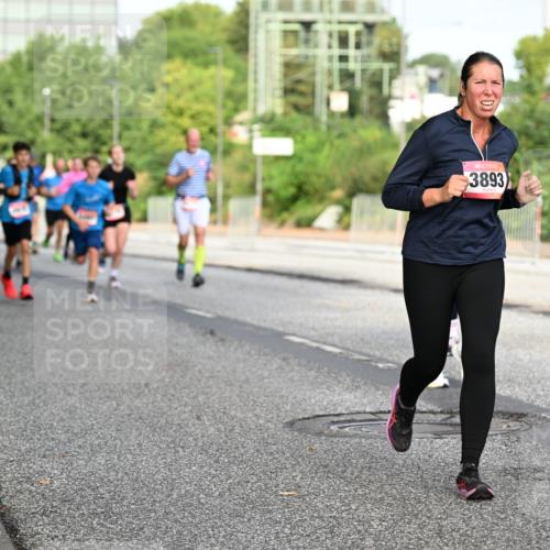 06.09.2026 - CURREX Alsterlauf Dr. Thomas Lammeyer http://msf.ph/oto/10132443 06.09.2026 09:56:33 Laufen 3893 meine-sportfotos.de