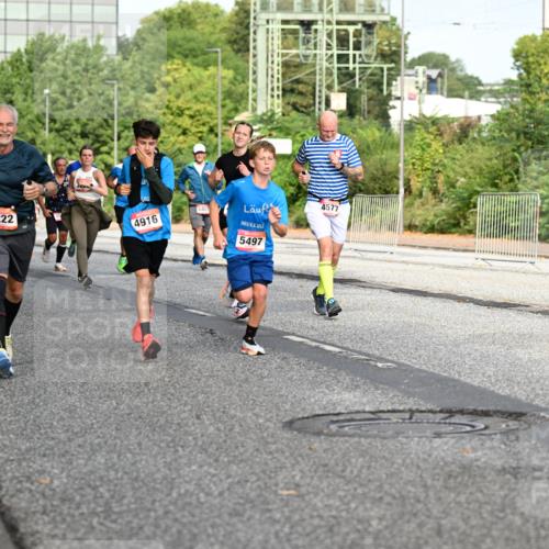 06.09.2026 - CURREX Alsterlauf Dr. Thomas Lammeyer http://msf.ph/oto/10132458 06.09.2026 09:56:35 Laufen 3506, 442, 5222, 4916, 6457, 5497, 4577 meine-sportfotos.de