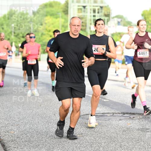 06.09.2026 - CURREX Alsterlauf Dr. Thomas Lammeyer http://msf.ph/oto/10132630 06.09.2026 09:56:53 Laufen 20, 4461, 6241 meine-sportfotos.de