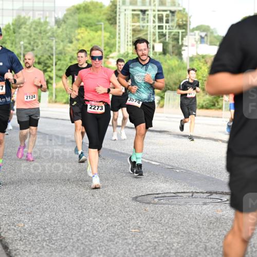 06.09.2026 - CURREX Alsterlauf Dr. Thomas Lammeyer http://msf.ph/oto/10132640 06.09.2026 09:56:54 Laufen 5567, 2124, 3574, 2273 meine-sportfotos.de