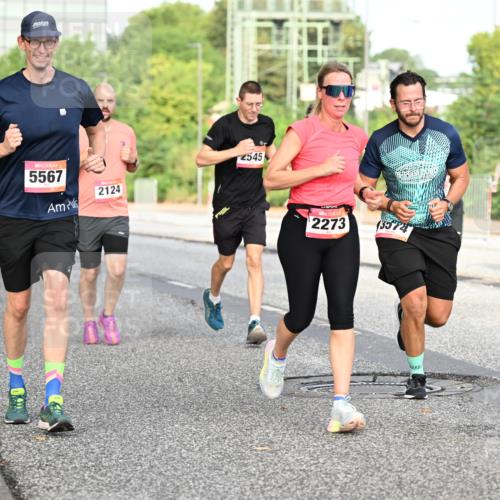 06.09.2026 - CURREX Alsterlauf Dr. Thomas Lammeyer http://msf.ph/oto/10132653 06.09.2026 09:56:55 Laufen 5567, 2124, 2545, 2273, 3574 meine-sportfotos.de